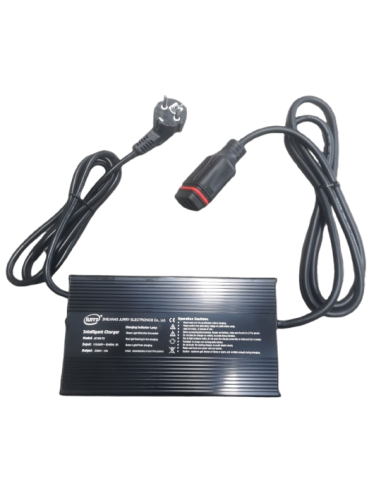 Charger 84V 10A