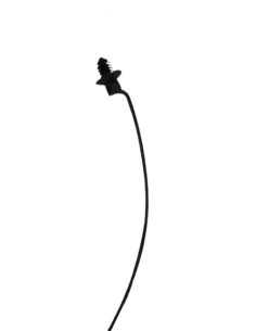 Attache tête filetée e-coral