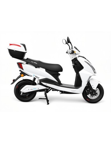 e-opai cargo 2026