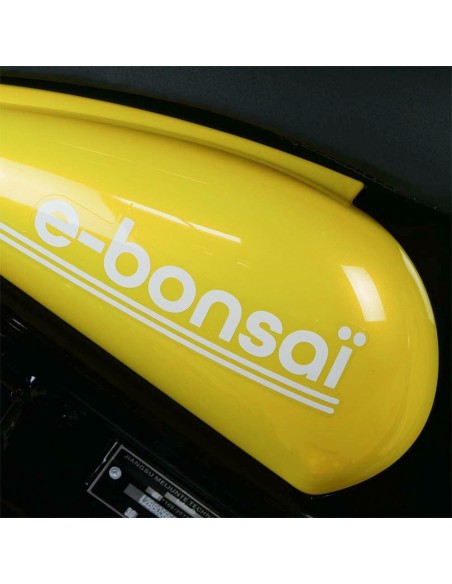 Scooter électrique easy-Watts e-bonsaï coco jaune carrosserie 2