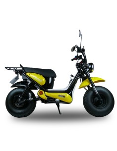 copy of E-Bonsaï 2