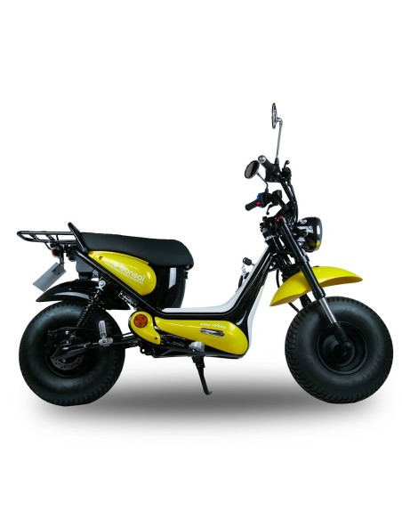 copy of E-Bonsaï