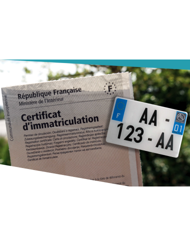 Plaque seule 50cc