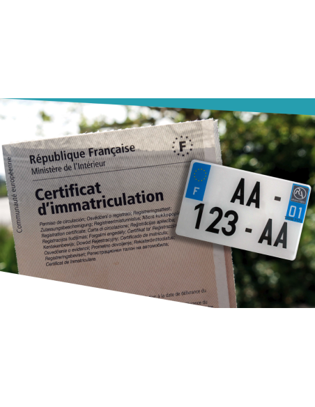 Plaque seule 50cc