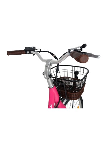 panier solide et poignée en cuir : e-wave du Group EW