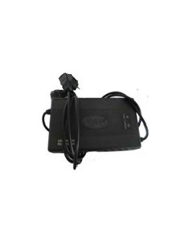 Chargeur e-swan  - 1