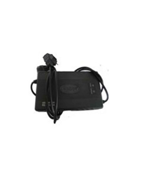 Chargeur e-swan  - 1