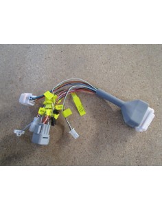 faisceau controleur e-roadster  - 1