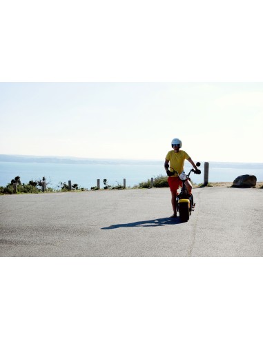 Scoot électrique e-djam jaune 45 km/h easy watts