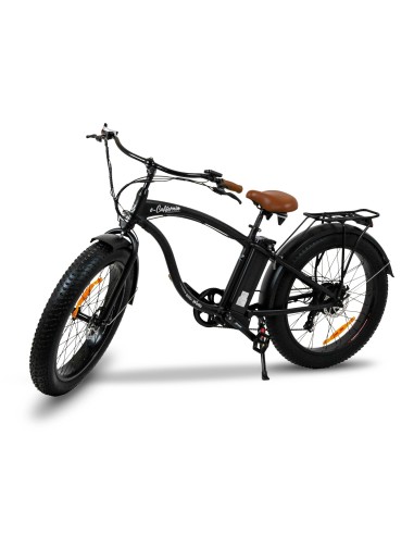 e-california easy-watts - 1