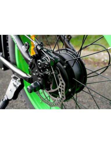Moteur brushless à moyeu de roue arrière de Nomad-S Col de cygne