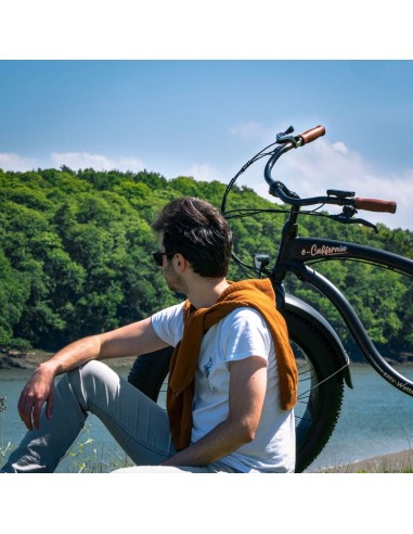 e-california easy-watts - 14