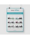 Affiche: la gamme de scooters électriques  - 1