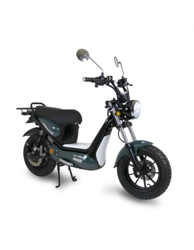 E-Bonsaï easy-watts - 56