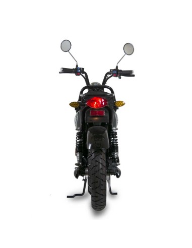 E-Bonsaï easy-watts - 64