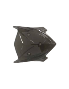 Windshield e-Odin  - 1