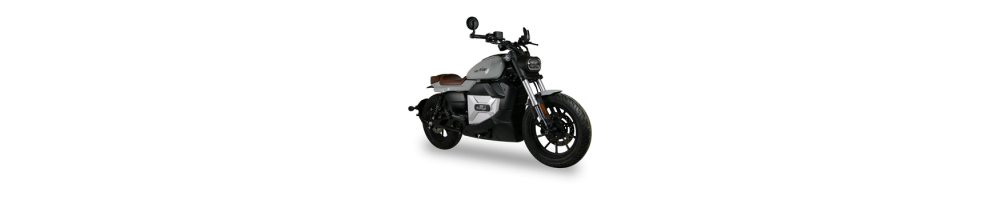 Moto électrique 125